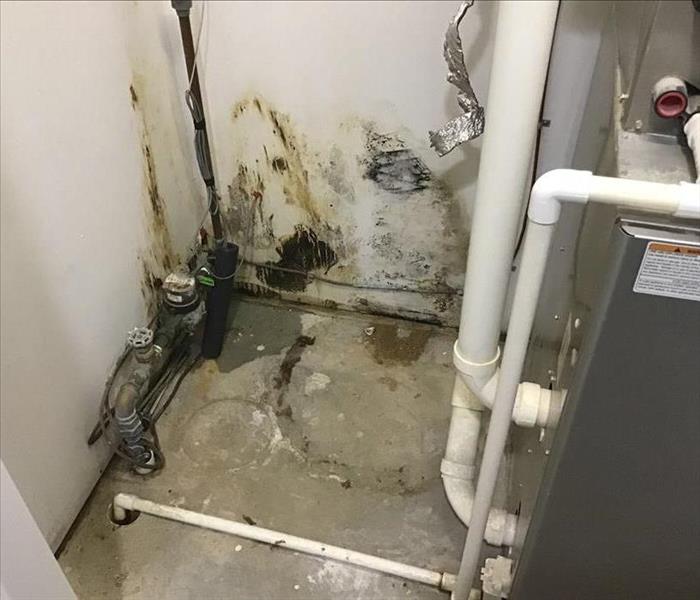 Mold on walls of utility room by water heater