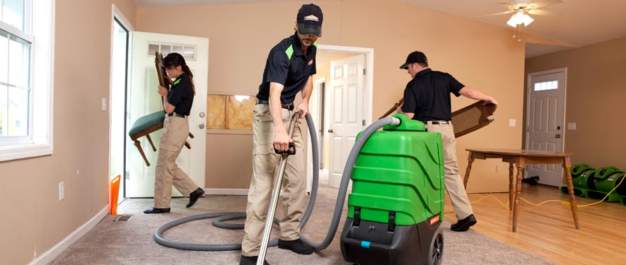 Holland, MI cleaning services
